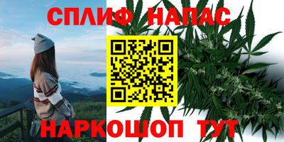 амф Малгобек